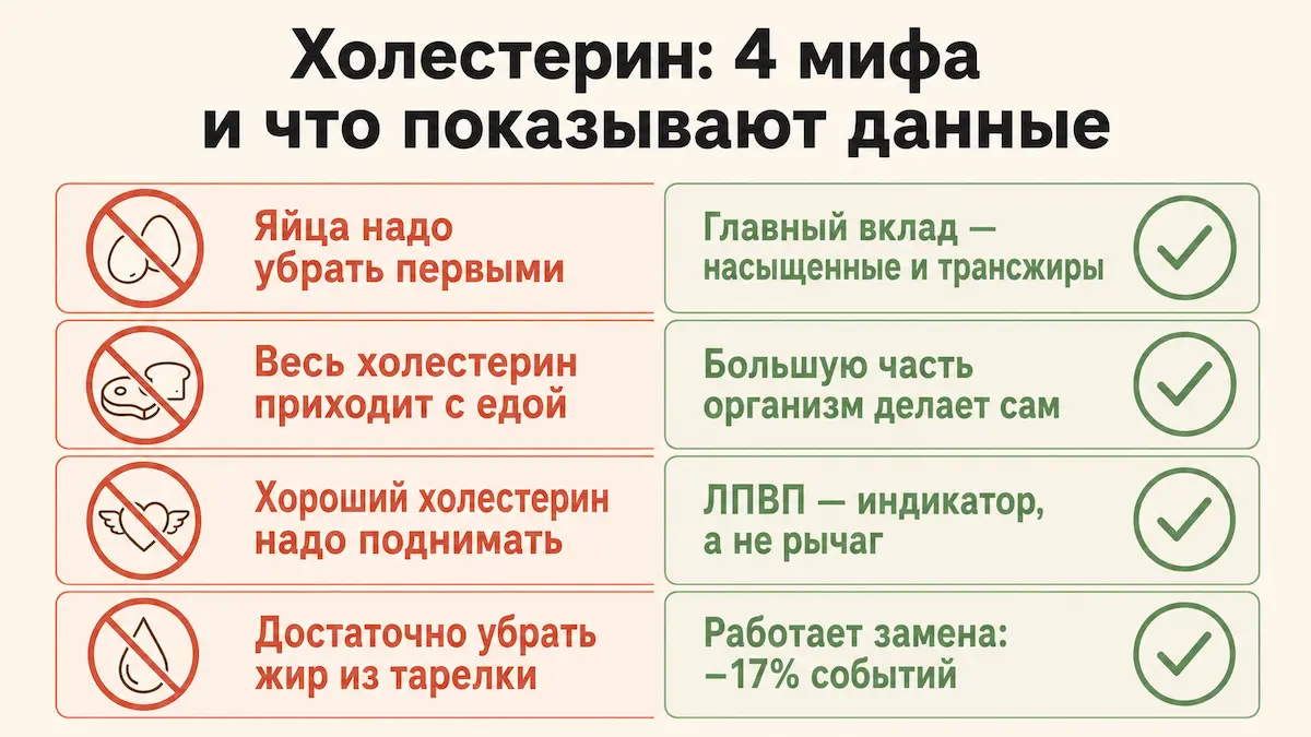 Четыре мифа о холестерине и что показывают исследования