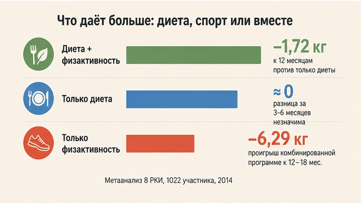 Сравнение подходов к похудению: диета, спорт и их сочетание по данным метаанализа