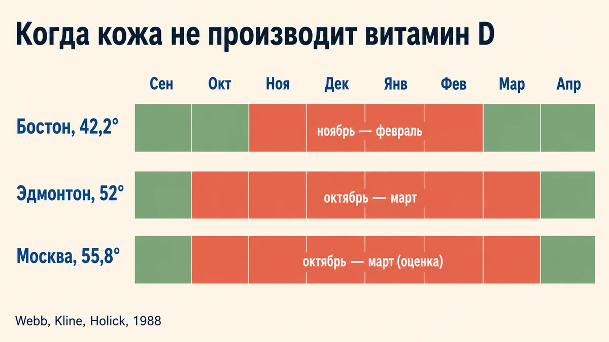 Витаминная зима по широтам: месяцы без синтеза витамина D в Бостоне, Эдмонтоне и Москве