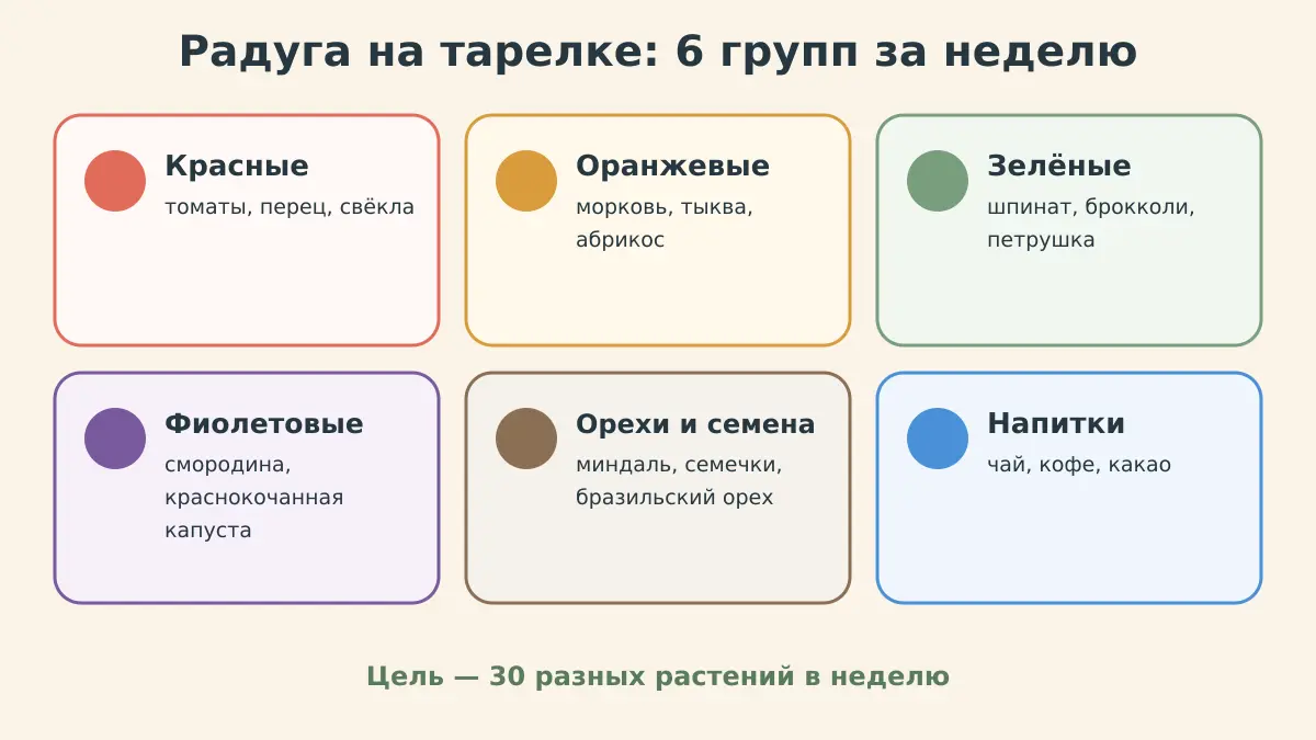 Инфографика: шесть цветовых групп растительных антиоксидантов и продукты каждой группы