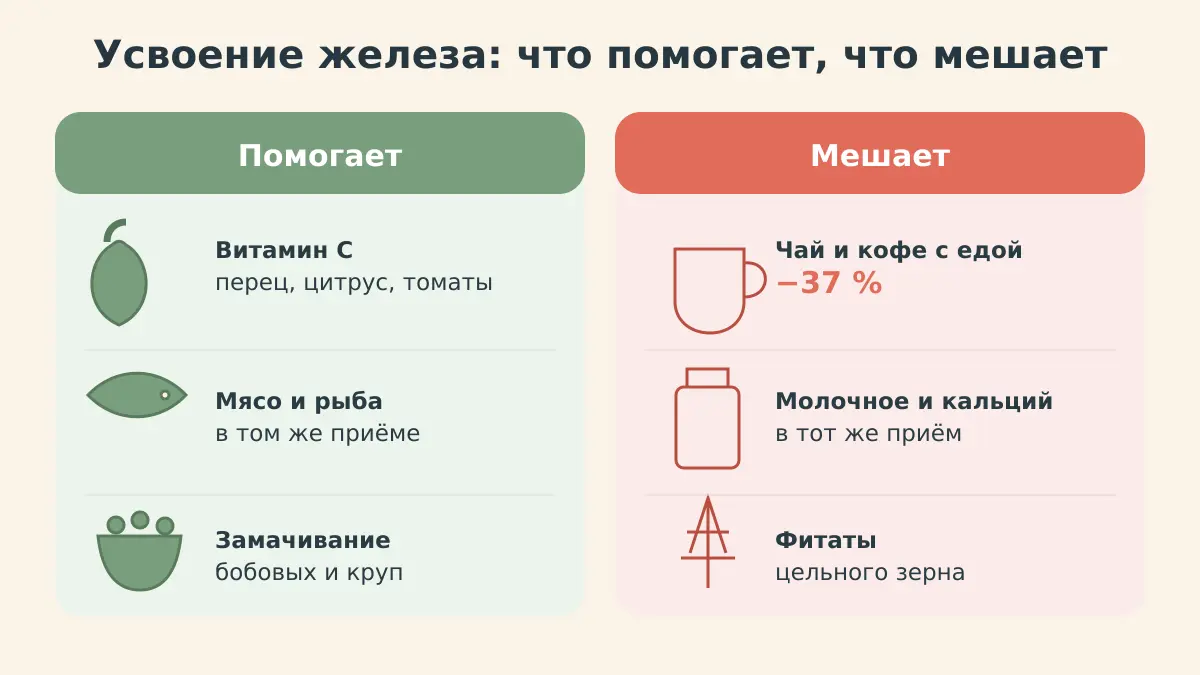Схема: что усиливает усвоение железа — витамин C, мясо, замачивание бобовых; что мешает — чай, кофе, кальций, фитаты
