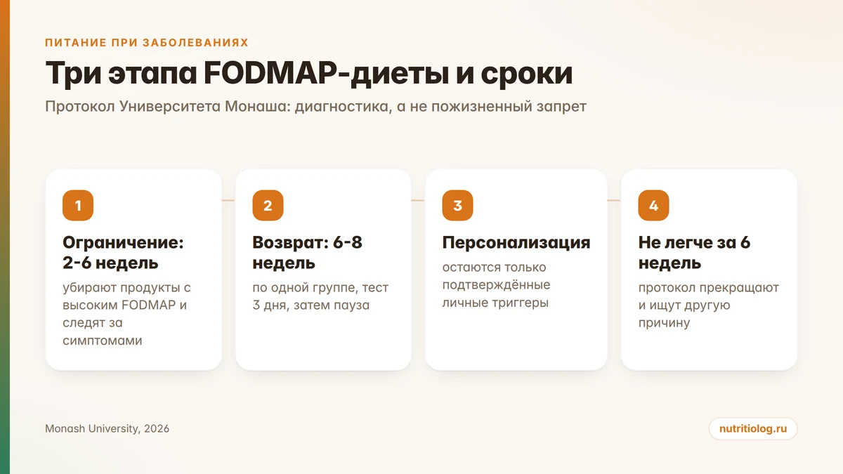 Три этапа FODMAP-диеты и сроки каждого этапа: ограничение, возврат продуктов, персонализация
