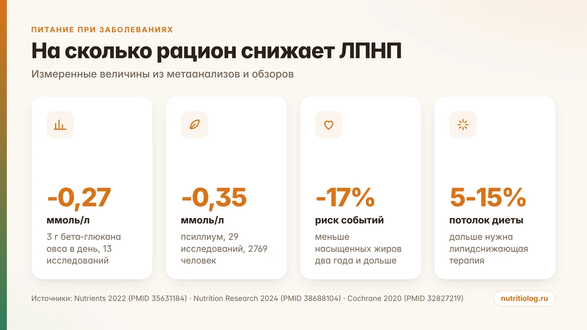 На сколько снижают ЛПНП овсянка, псиллиум и замена жиров: цифры исследований