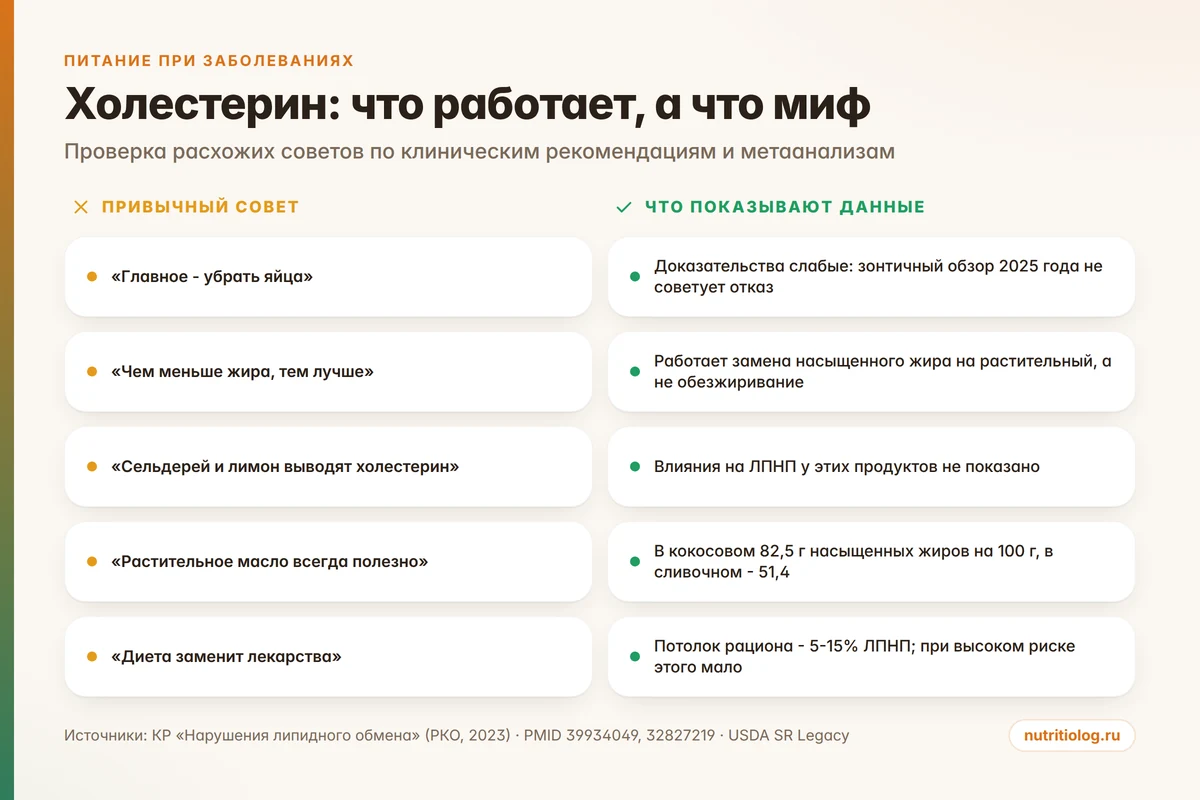 Что поднимает ЛПНП, а что почти не влияет: сравнение доказанного и мифов