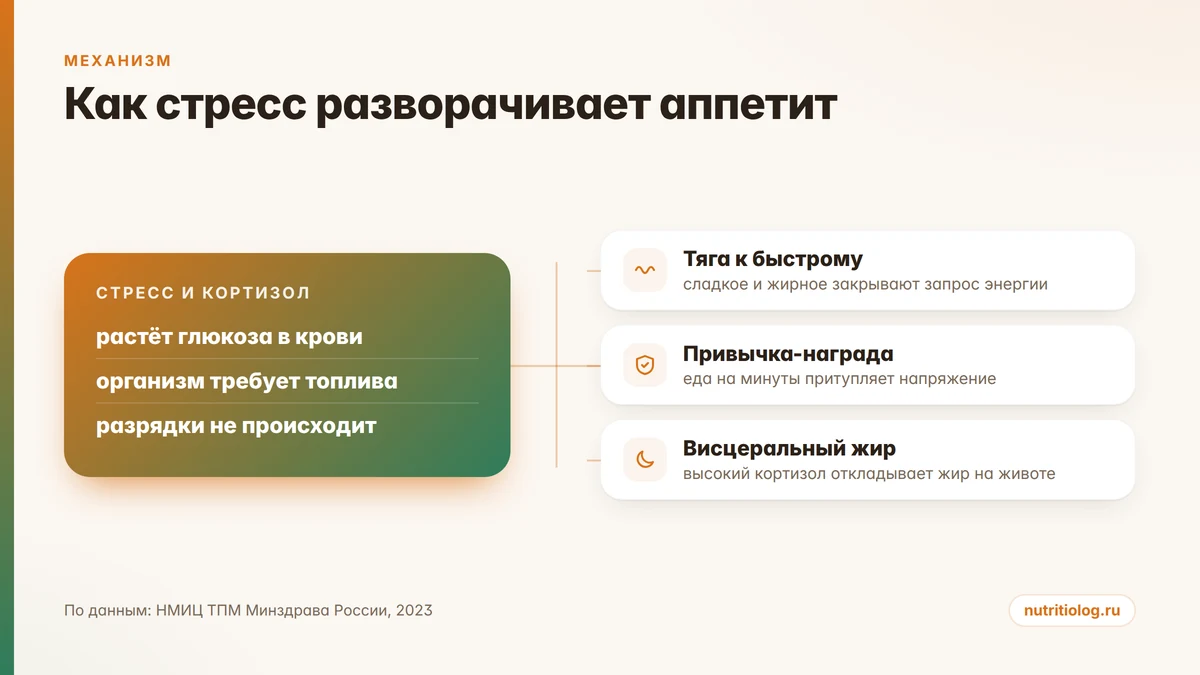Схема: стресс повышает кортизол, растёт тяга к сладкому и жирному, формируется привычка заедать