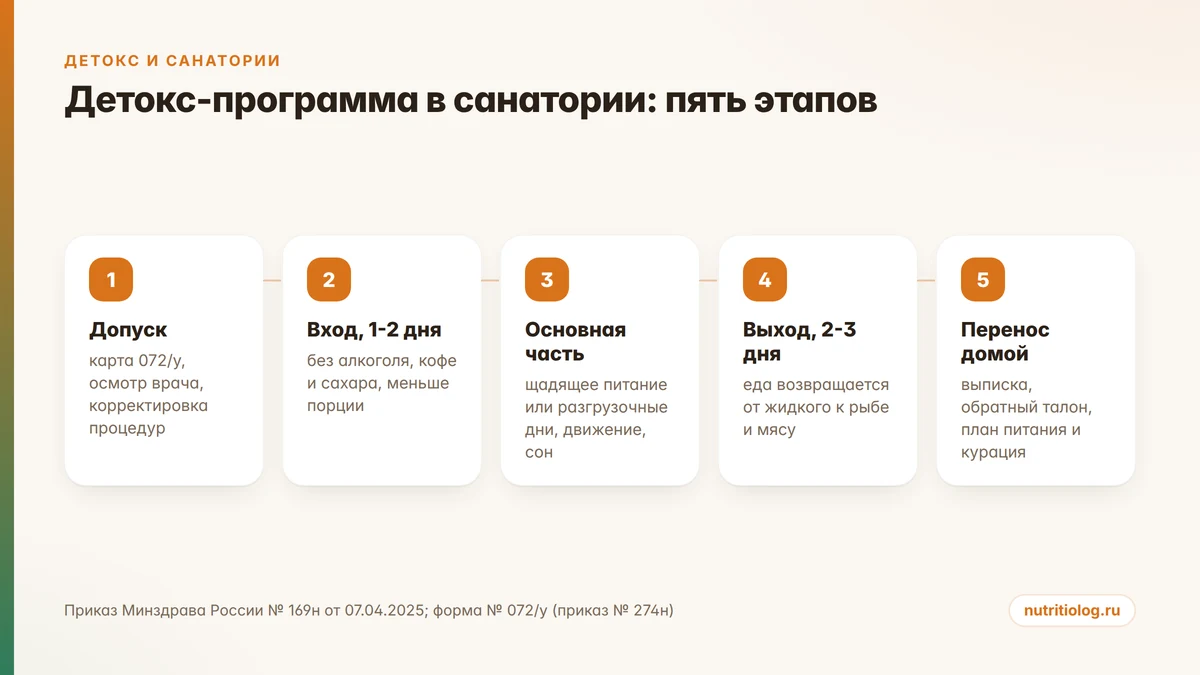 Пять этапов детокс-программы в санатории: допуск, вход, основная часть, выход и перенос привычек домой
