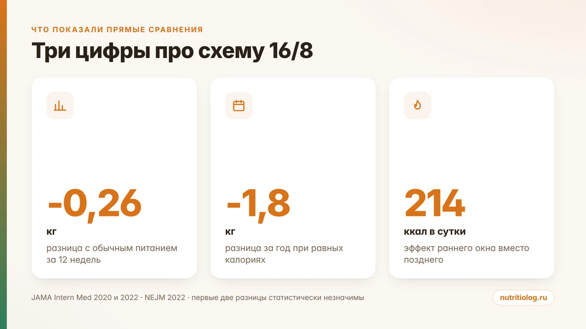 Три цифры про схему 16/8: разница с обычным питанием за 12 недель и за год