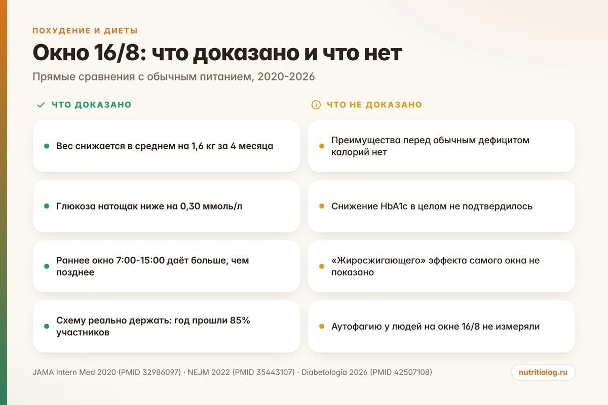 Инфографика: что доказано и что не доказано про интервальное голодание 16/8