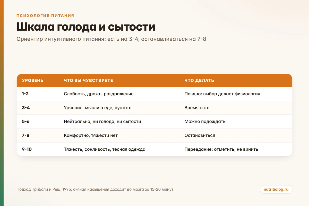 Шкала голода и сытости от 1 до 10: что чувствует человек и что делать на каждом уровне