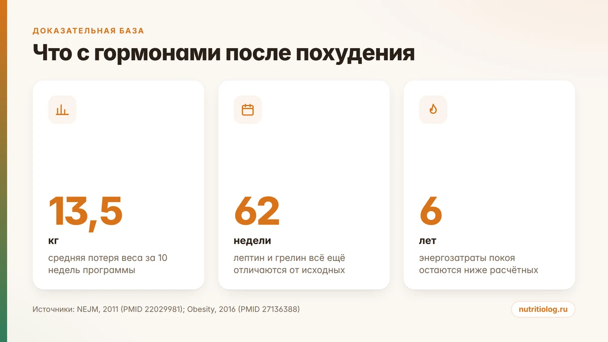 Цифры исследования: что происходит с лептином, грелином и голодом через год после похудения