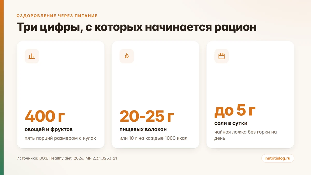 Нормы здорового рациона в сутки: 400 г овощей, 25 г волокон, 5 г соли, 50 г сахара